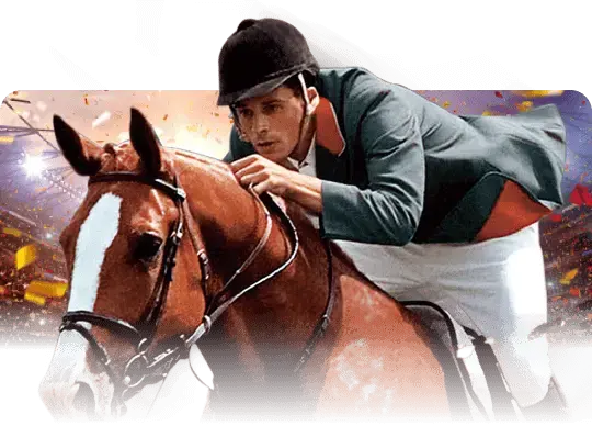 Horse Racing Insights